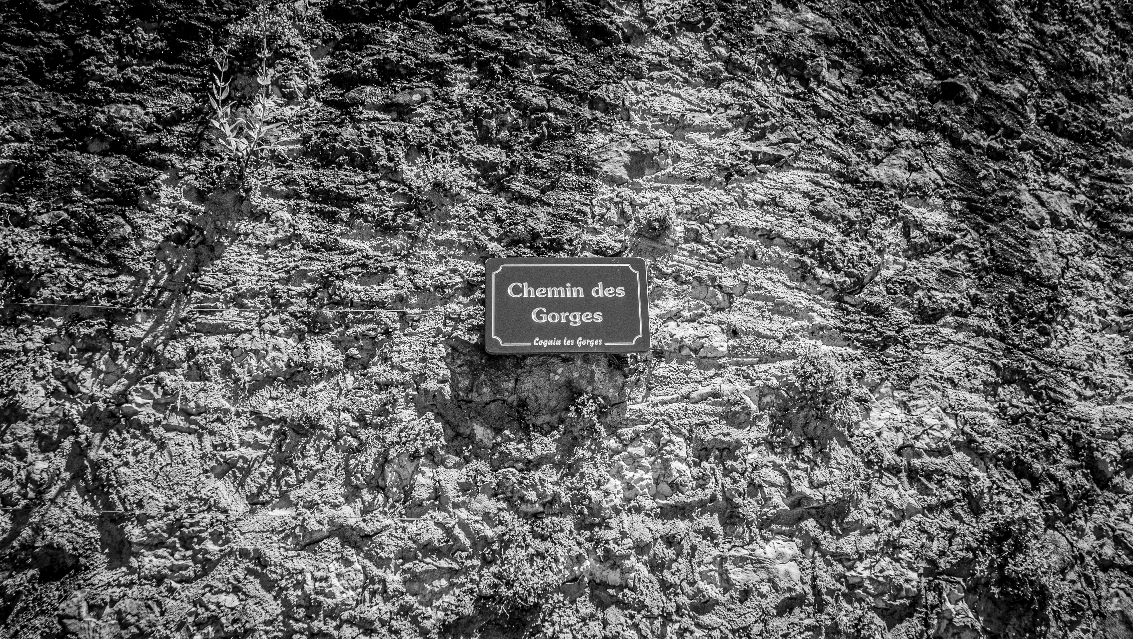 Cognin 62