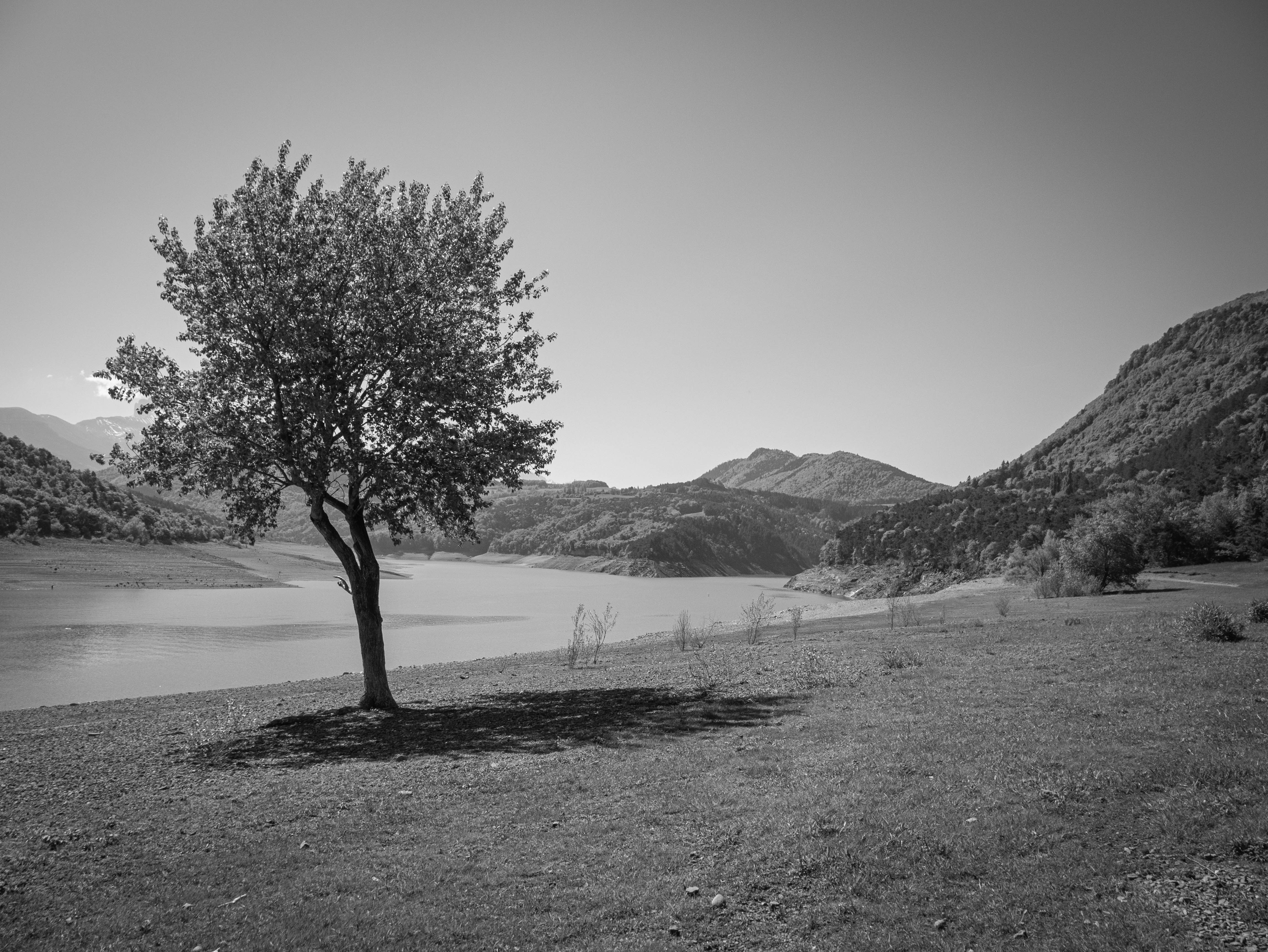 P1020356