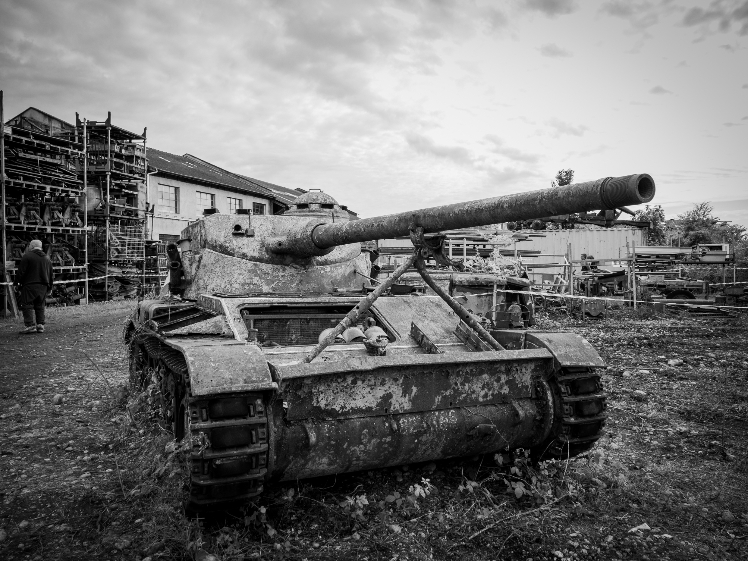 Cognin 65